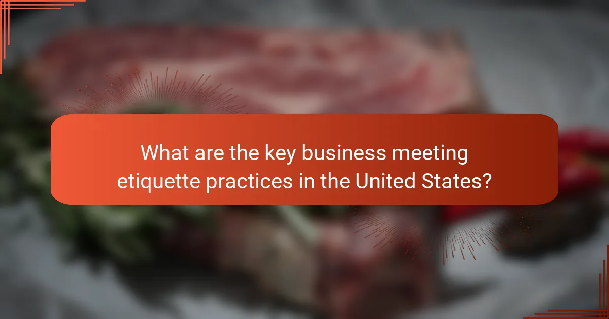 What are the key business meeting etiquette practices in the United States?